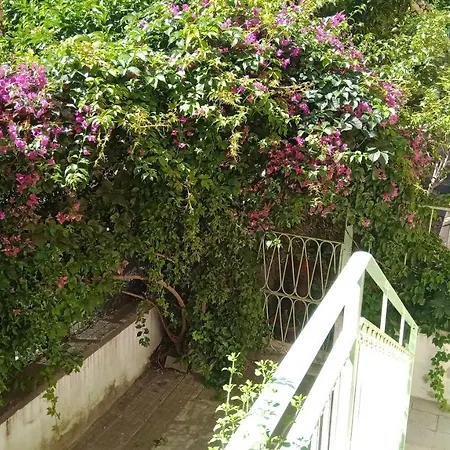 Apartment Casa Galante Centro